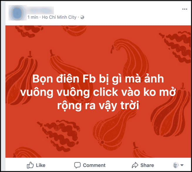 Người dùng than phiền việc không thể xem ảnh đầy đủ..
